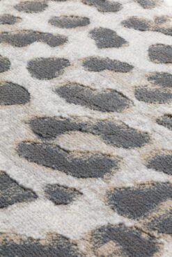 Mastercraft Simba Heatset Rug - 12279/505 5 Mastercraft Simba Heatset Rug - 12279/505 -Le Creuset Sales Store 53988 24287